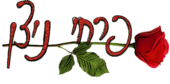 פרחי ניצן – חנות פרחים ברחובות