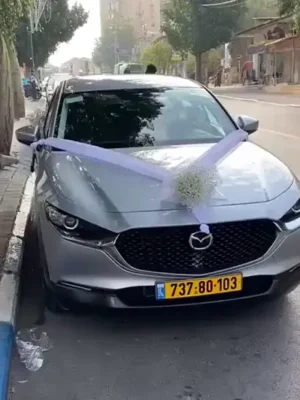 קישוט רכב ברחובות – תחרה לבנה בצורת V עם פרחי גיבסנית לבנים לעיצוב חתונה